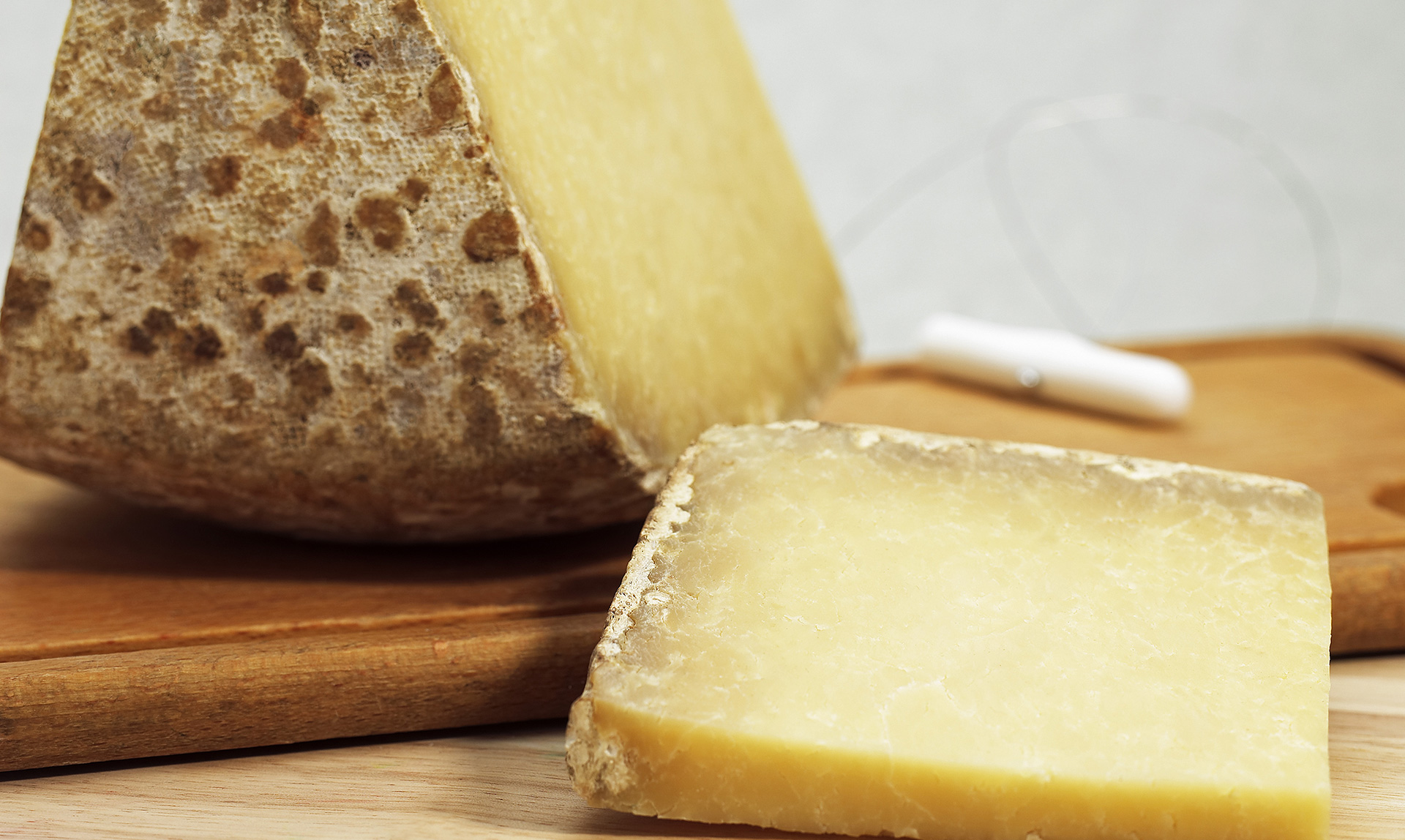 cantal-gastronomie